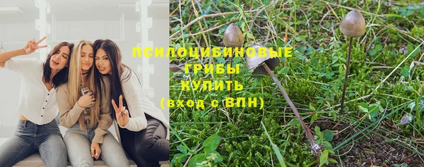 крисы Лихославль