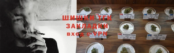 мдпв Долгопрудный
