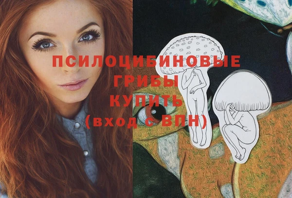 мдпв Липки