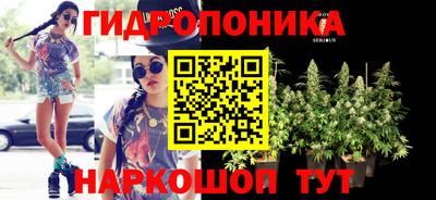 гидра Аргун