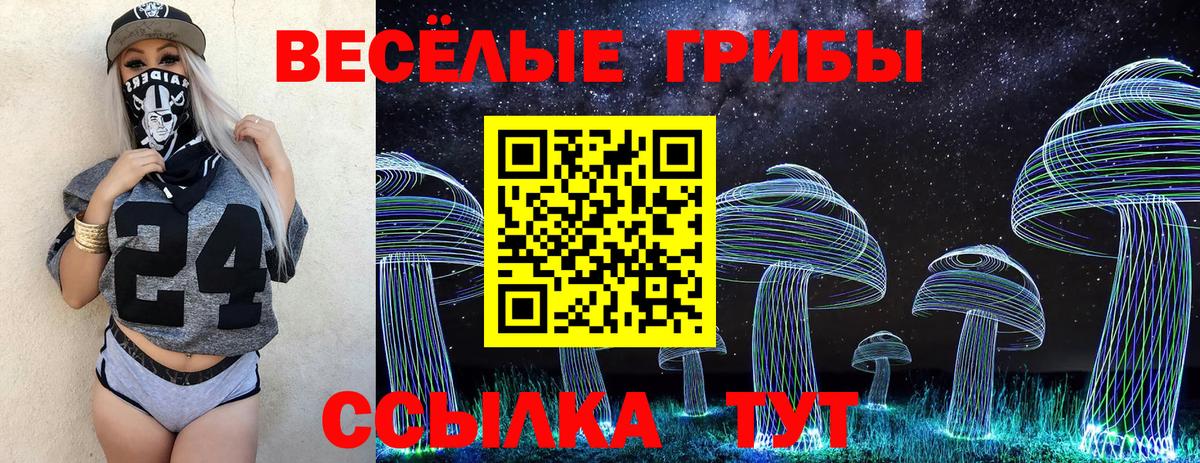 Псилоцибиновые грибы Psilocybe  Вход с VPN  Тейково 