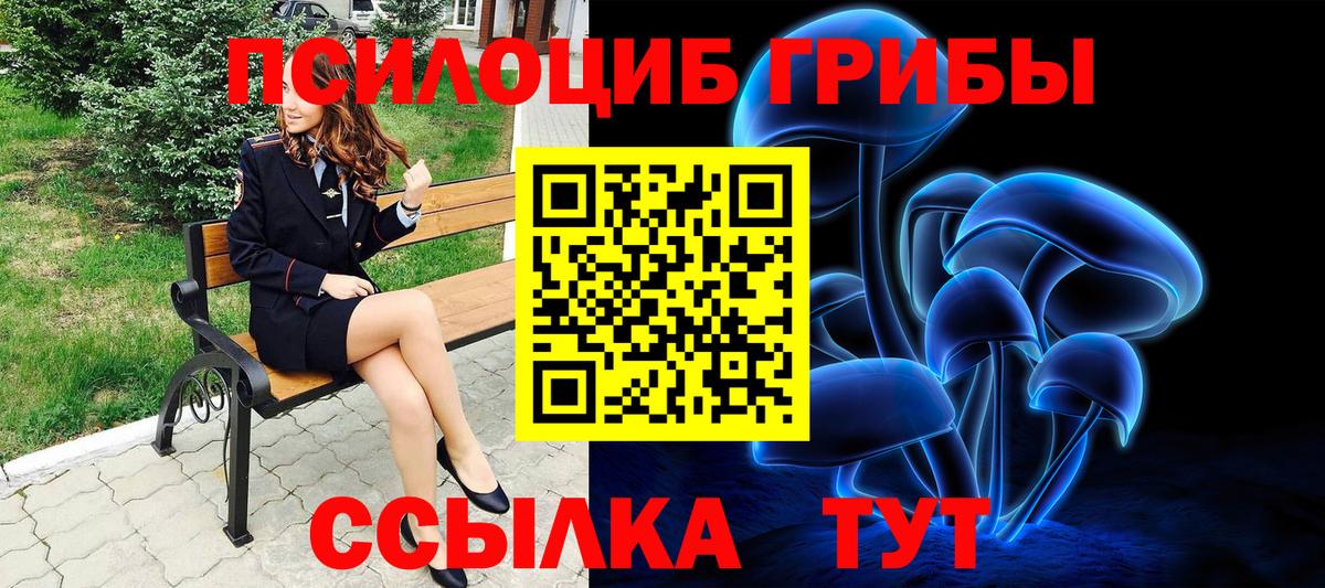 Псилоцибиновые грибы Magic Shrooms  Тейково  что такое   Псилоцибиновые грибы Cubensis 